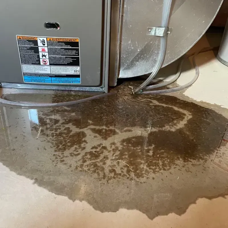 Appliance Leak Cleanup in Berwyn, PA